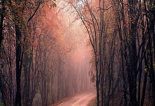 利物浦胜出临门一脚,争冠氛围浓厚