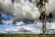 摩纳哥遭遇惨败,连败两场降级区域