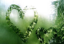 越南球队势如破竹,晋级在望