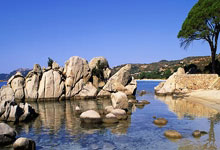 美国跳水名将登上领奖台，感动现场