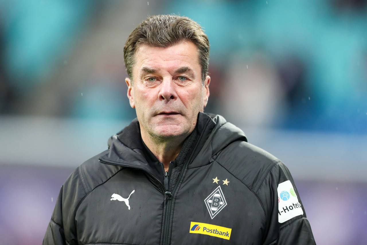 德国著名俱乐部宣布新任主帅